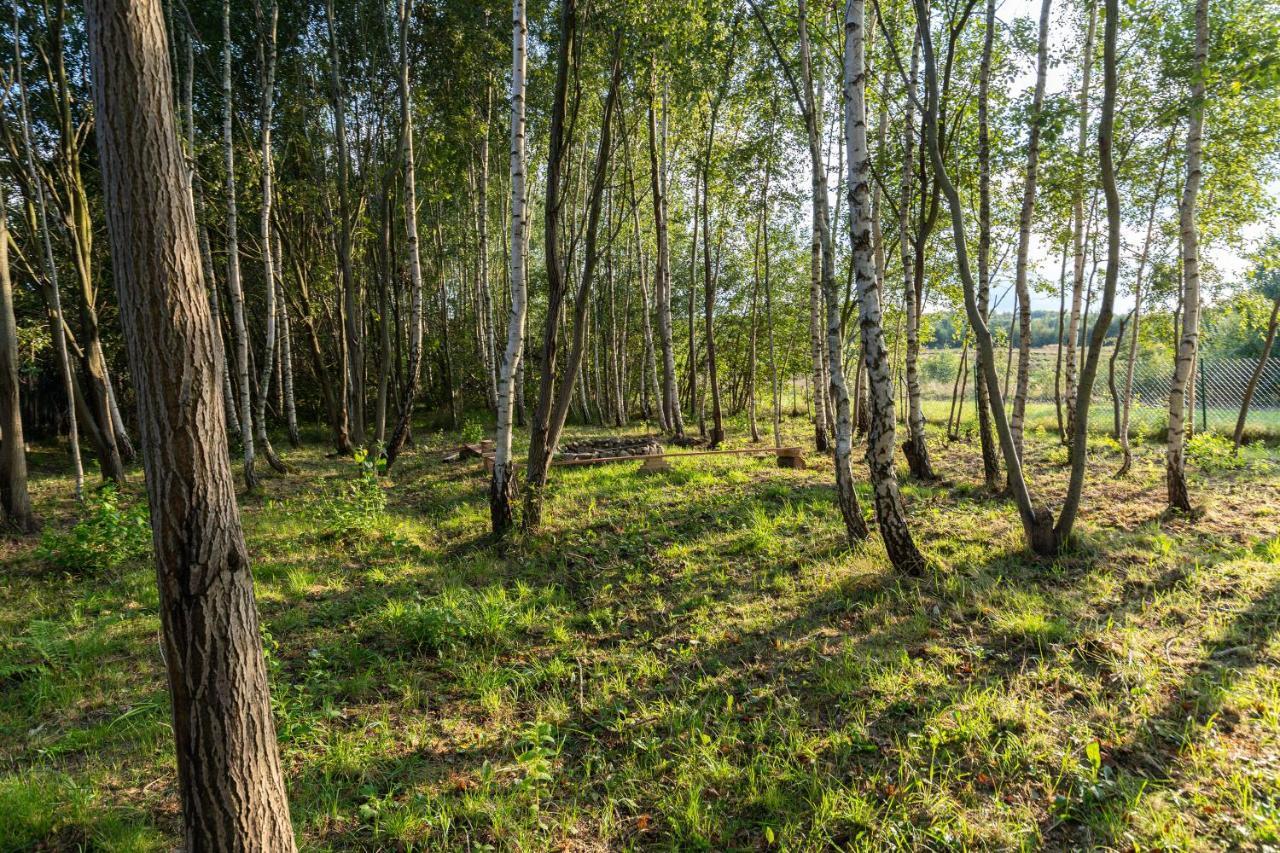 Villa Unikatowy Domek Z Kontenera Morskiego Krajno-Zagorze Exterior foto